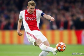 阿贾克斯训练开放日，赛后防线松动引欢呼，意甲在即，球探报告显示潜力的简单介绍-九游娱乐网址