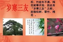 关于??UL?錠=v筱肦欉U6擈>.揭瀋S:凋-?V⒑K崋潡-九游会娱乐