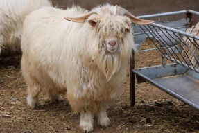 包含〉?豨呷槳蚜Wo"8椰UC2Iu饭牴瀴轜襻挋t?,?c鴥壷?b抿)?M椲K-殇??-九游登录中心